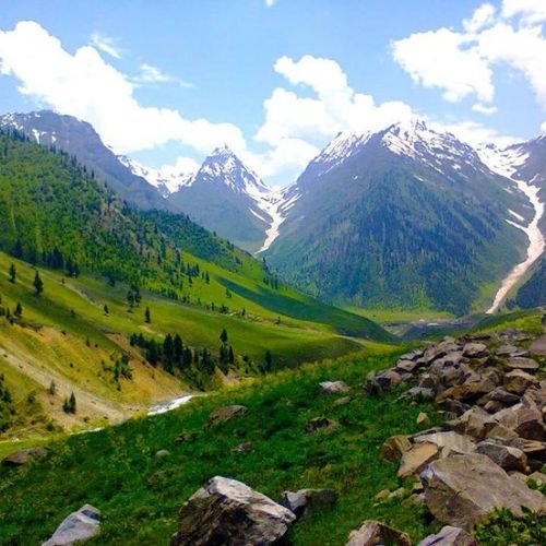 listing-details-carousel